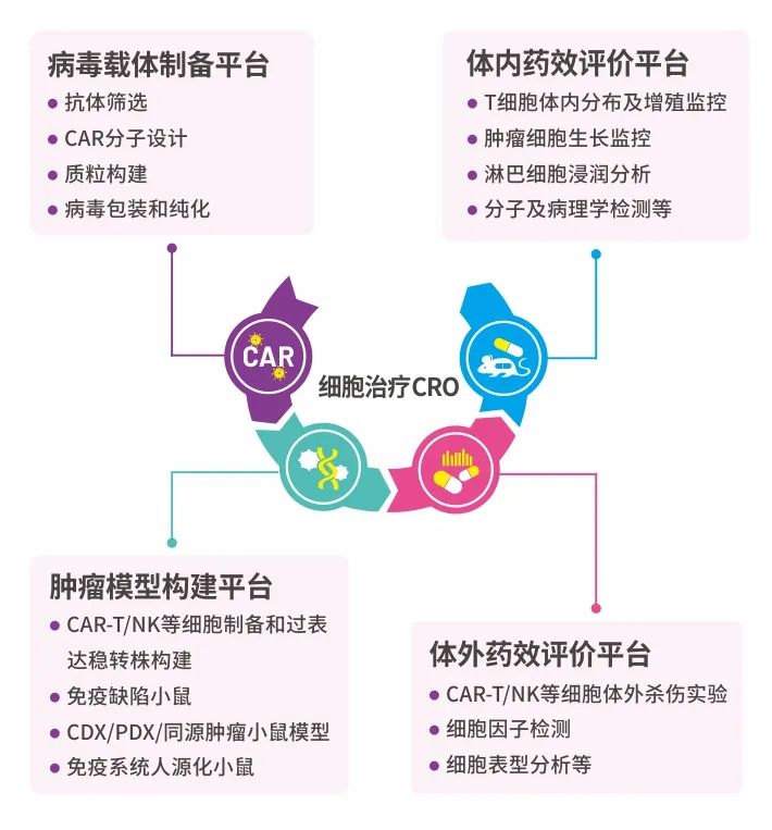 流式细胞术在CAR-T临床研发前应用