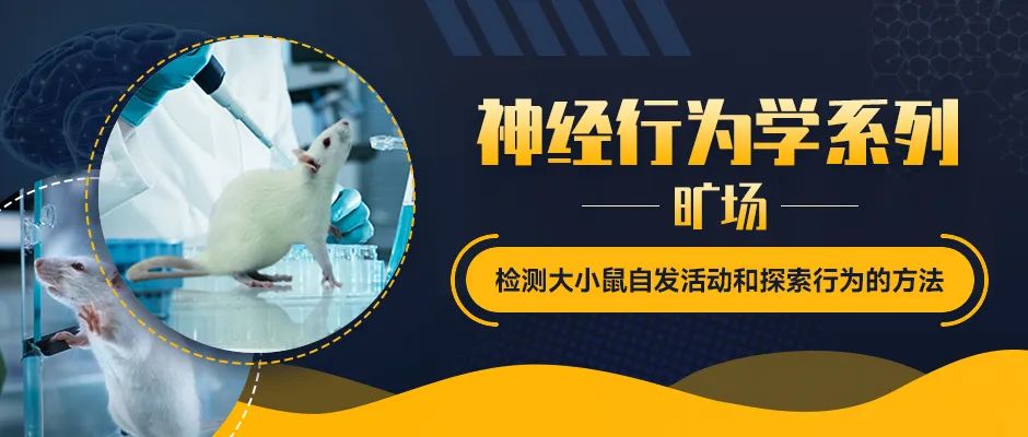 小鼠旷场实验