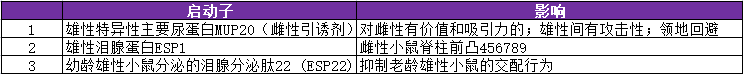 小鼠信息素