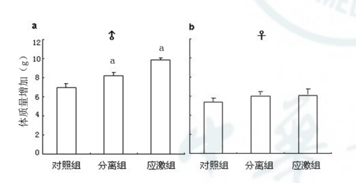 小鼠行为学