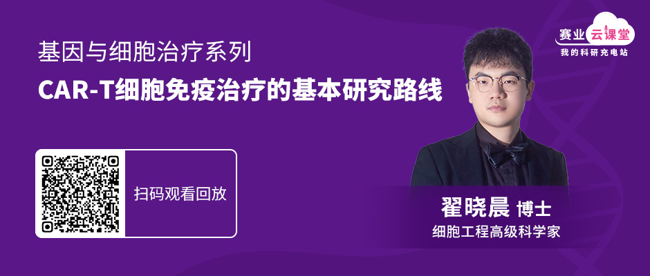 如何进行基因治疗药物开发设计
