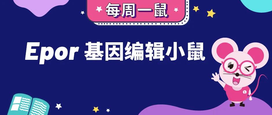 EPOR基因