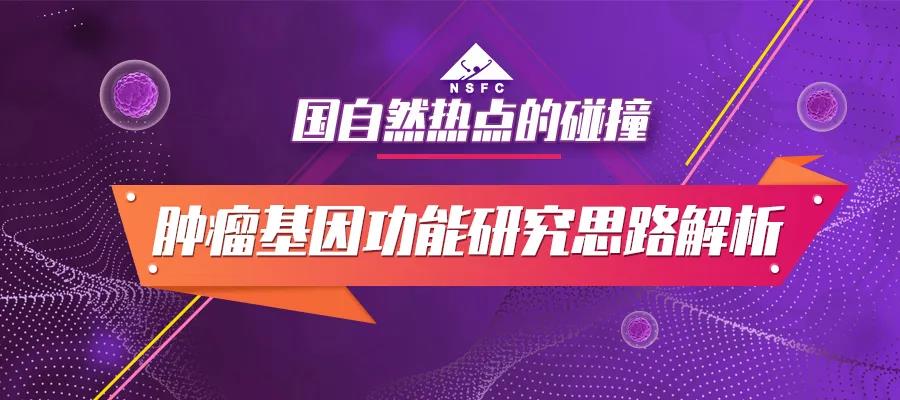 肿瘤基因功能
