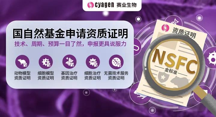 肿瘤基因功能 肿瘤基因功能