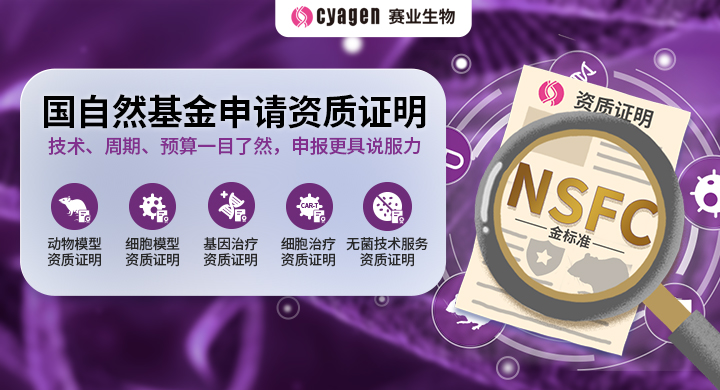 国自然的最后冲刺