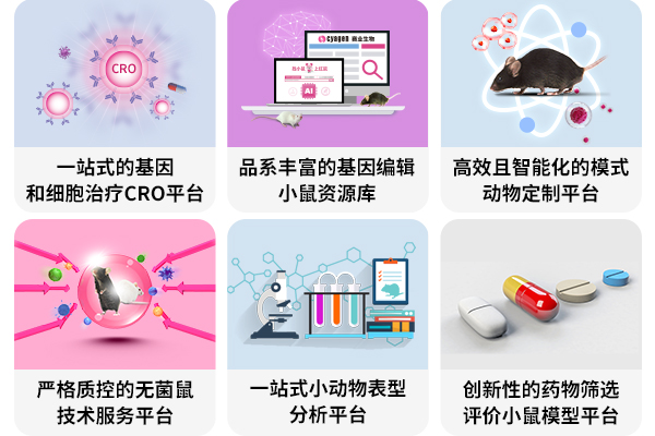 国自然的最后冲刺