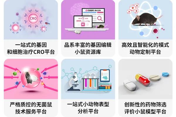 化脓链球菌感染免疫应答机制