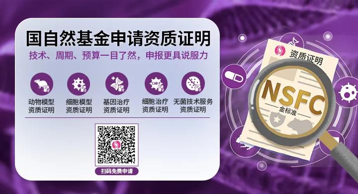 化脓链球菌感染免疫应答机制