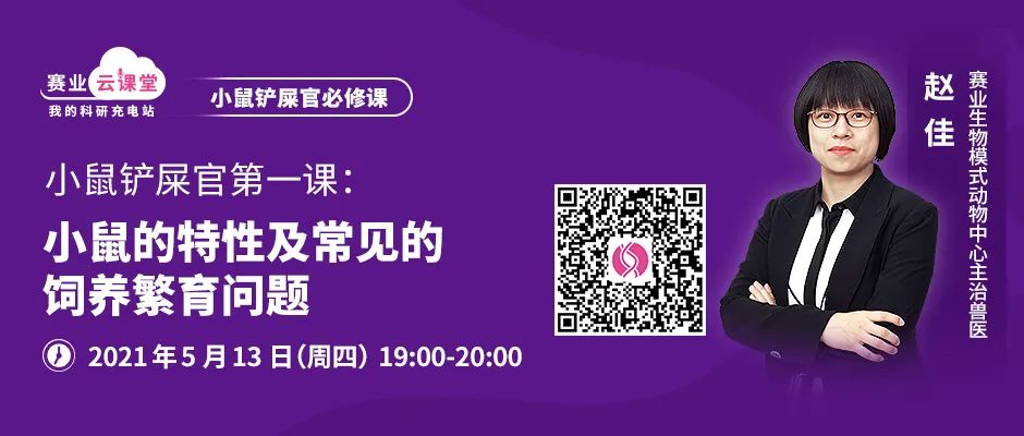 怎么判断大小鼠性别
