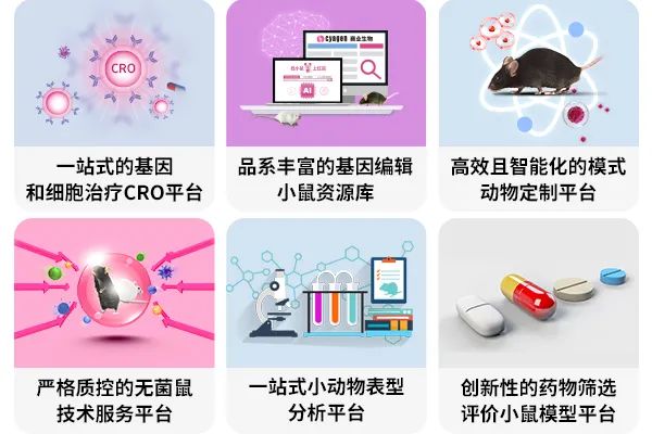 KANSL1基因缺失
