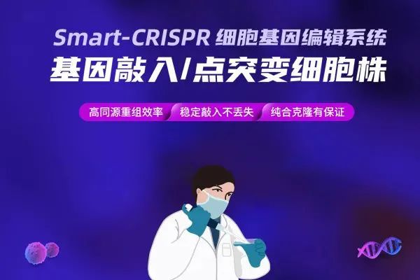 分子诊断