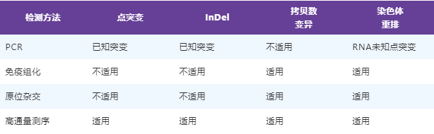 分子诊断
