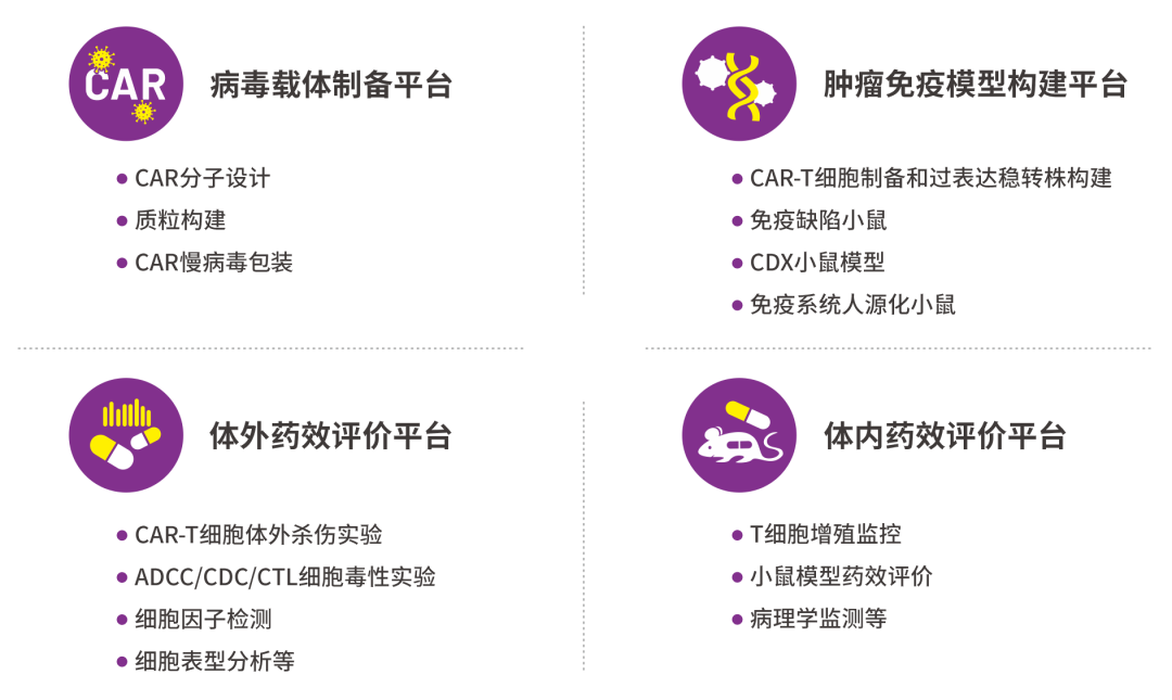 CAR-T细胞治疗