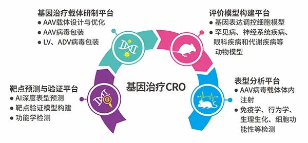 基因治疗新靶点研究