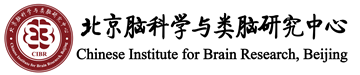 12.png