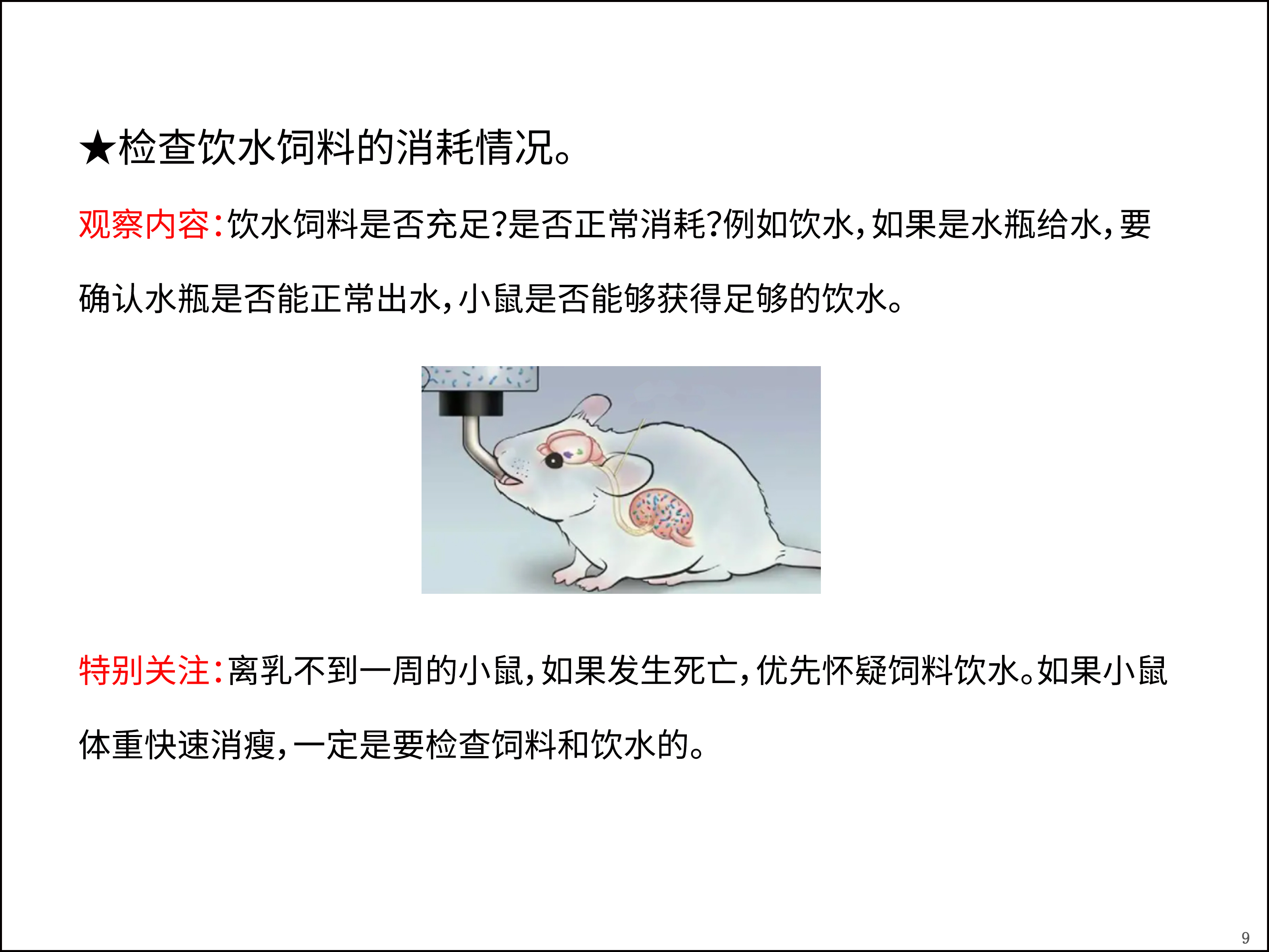 91.jpg