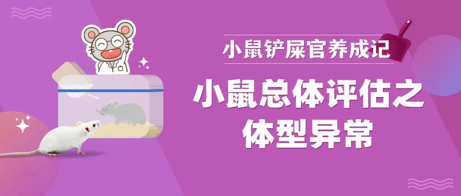 封面12.jpg