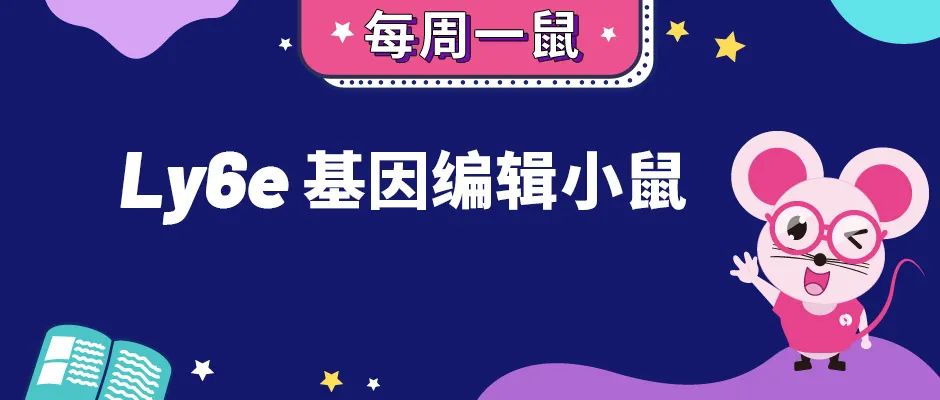 封面6.jpg