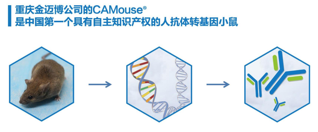 图片22.png