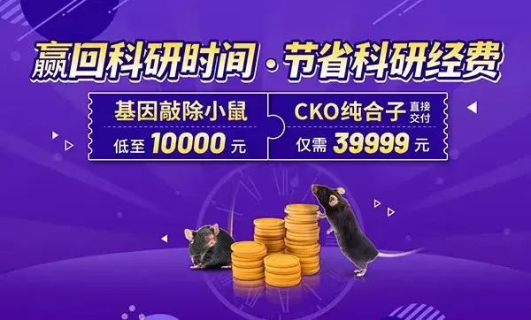HTT基因编辑小鼠