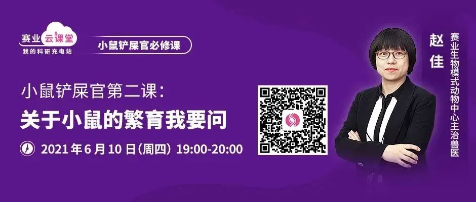 鼠皮肤状态异常怎么办