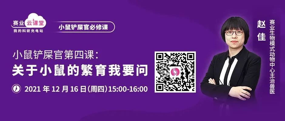 鼠皮肤状态异常怎么办