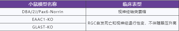 青光眼——造成不可逆伤害的隐形视力“杀手”
