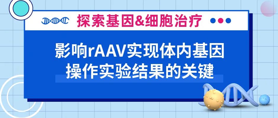 影响rAAV实现体内基因操作实验结果的关键