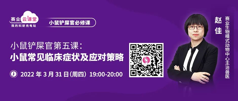 小鼠行为异常