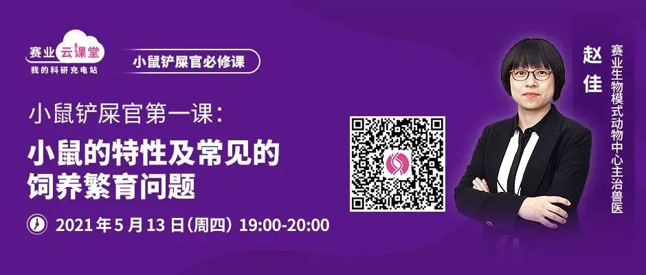 小鼠行为异常