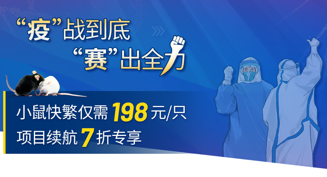 小鼠快速繁育服务