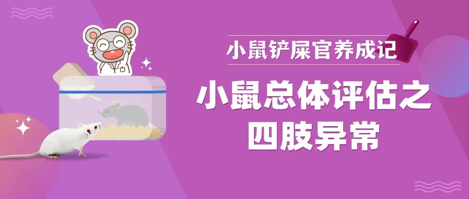 小鼠四肢异常 小鼠四肢异常