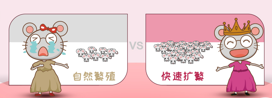 小鼠四肢异常