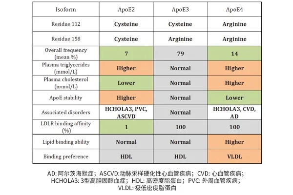 图8. 三种APOE蛋白的主要差异总结