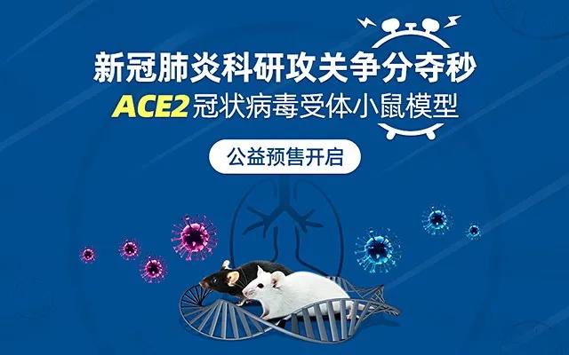 公益预售开启