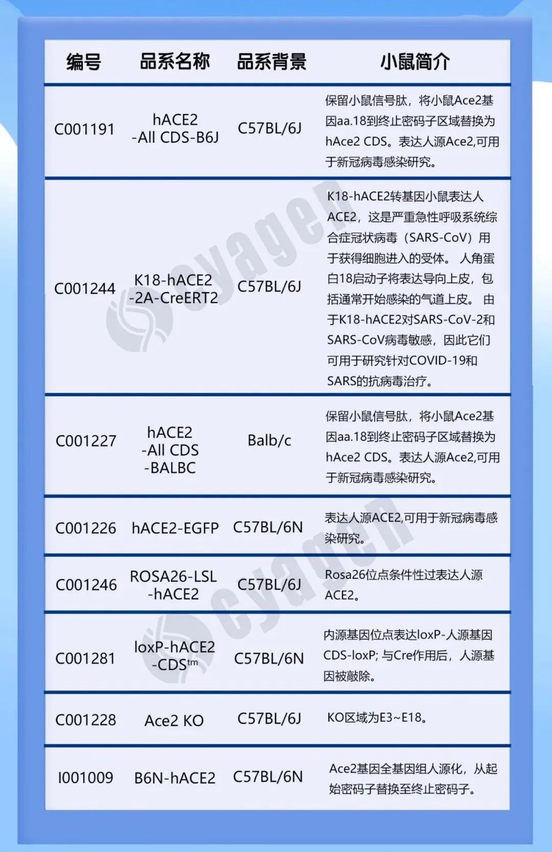 纳米抗体