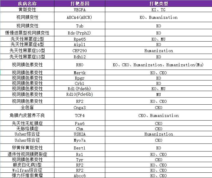 遗传性眼科疾病小鼠模型