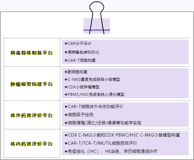 CAR-T细胞治疗基础研究加码