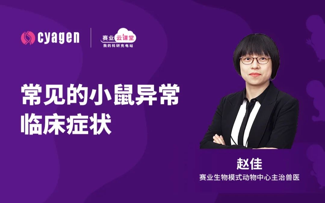小鼠异常状况