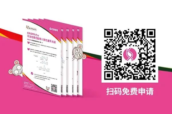 小鼠疾病如何辨别