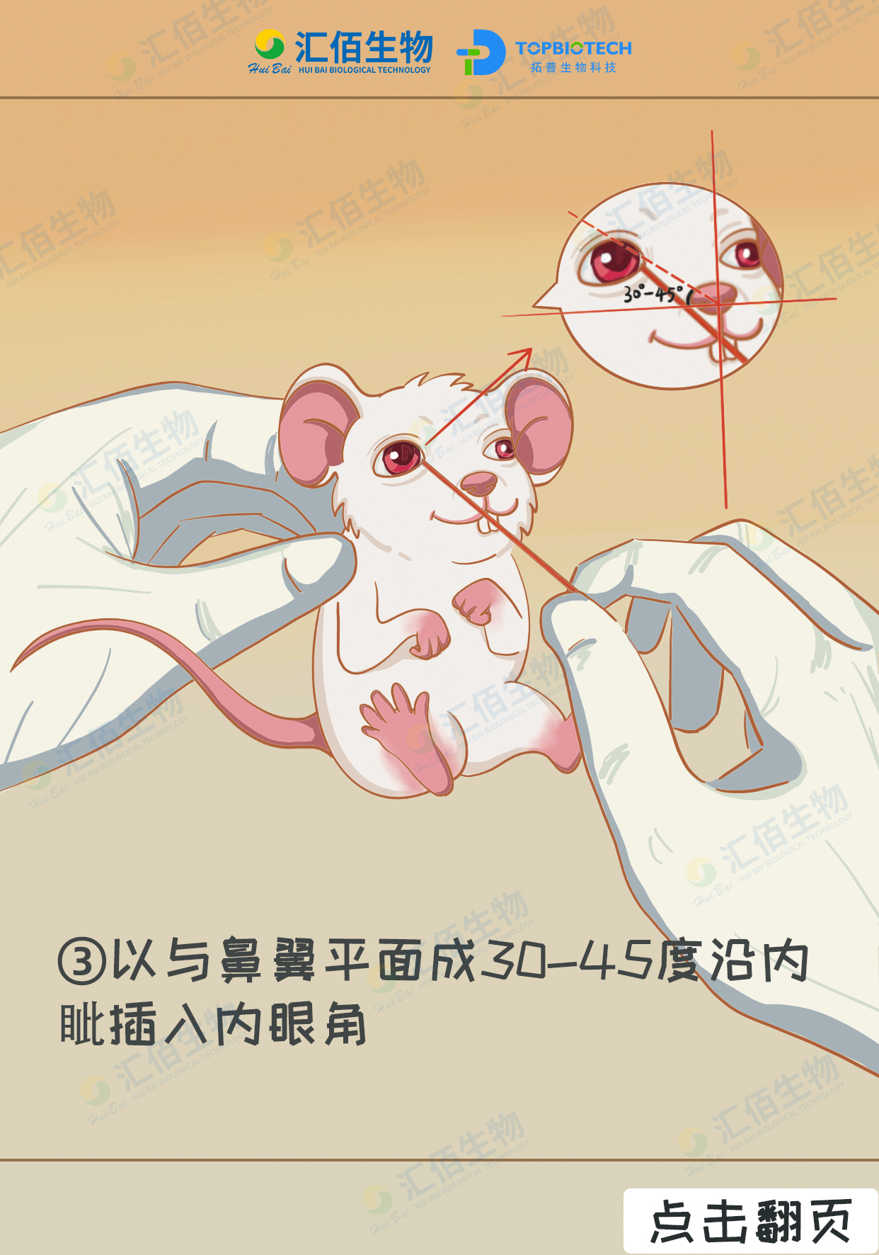 03步骤三：以与鼻翼平面成30-45度沿内眦插入内眼角.jpg