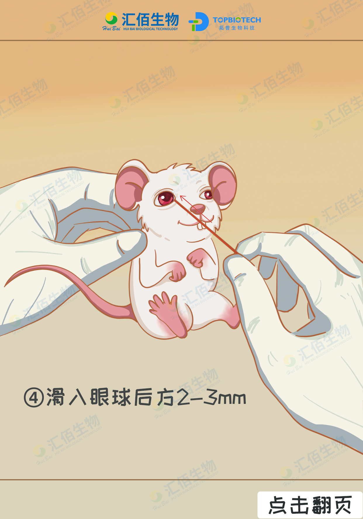 04步骤四：滑入眼球后方2-3mm.jpg