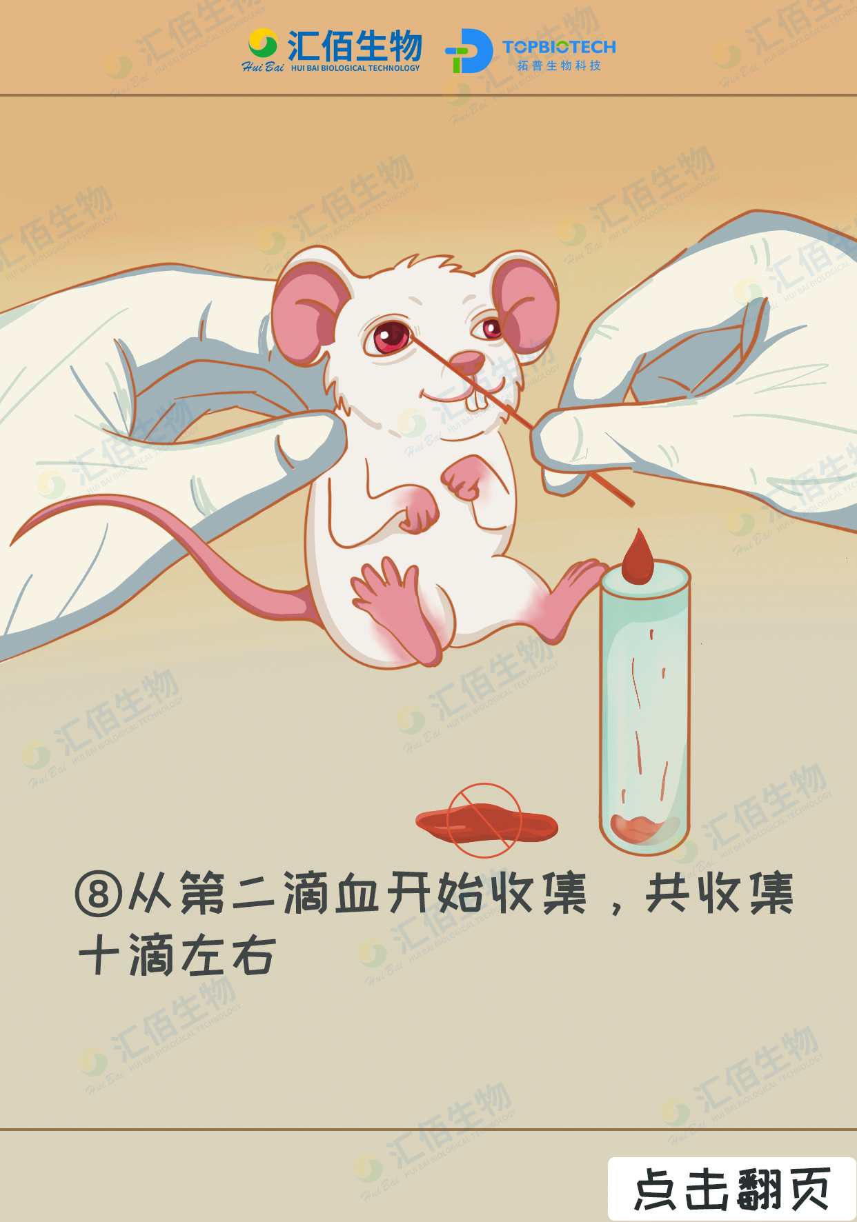 08步骤八：从第二滴血开始收集，共收集十滴左右.jpg