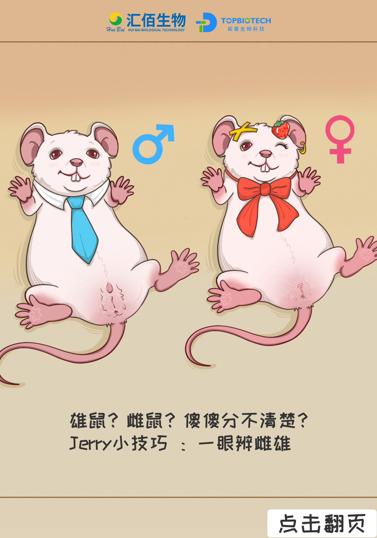 p13.jpg