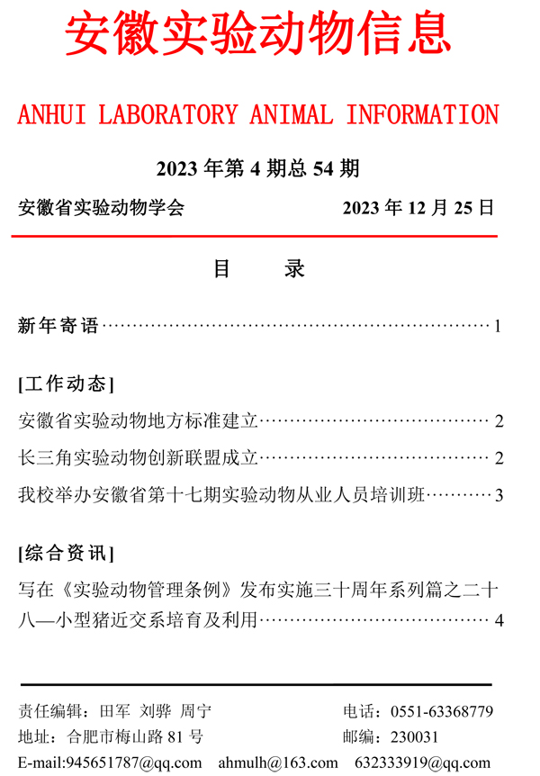p13.jpg