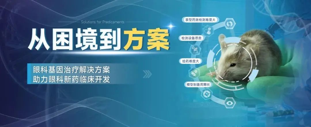 基因治疗药物筛选平台