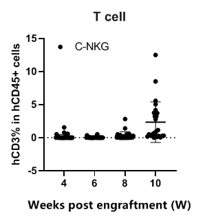 重度免疫缺陷小鼠