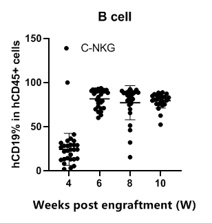 重度免疫缺陷小鼠