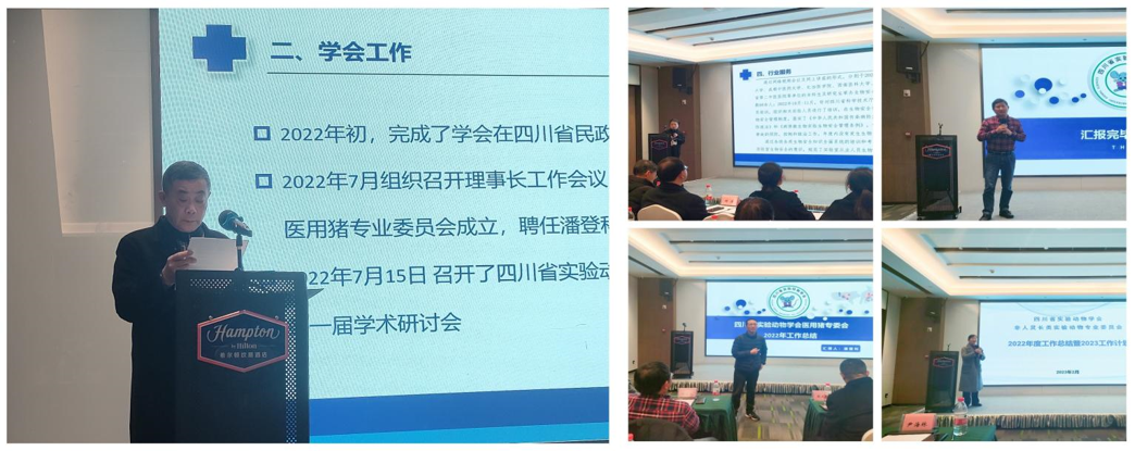 图片12.png