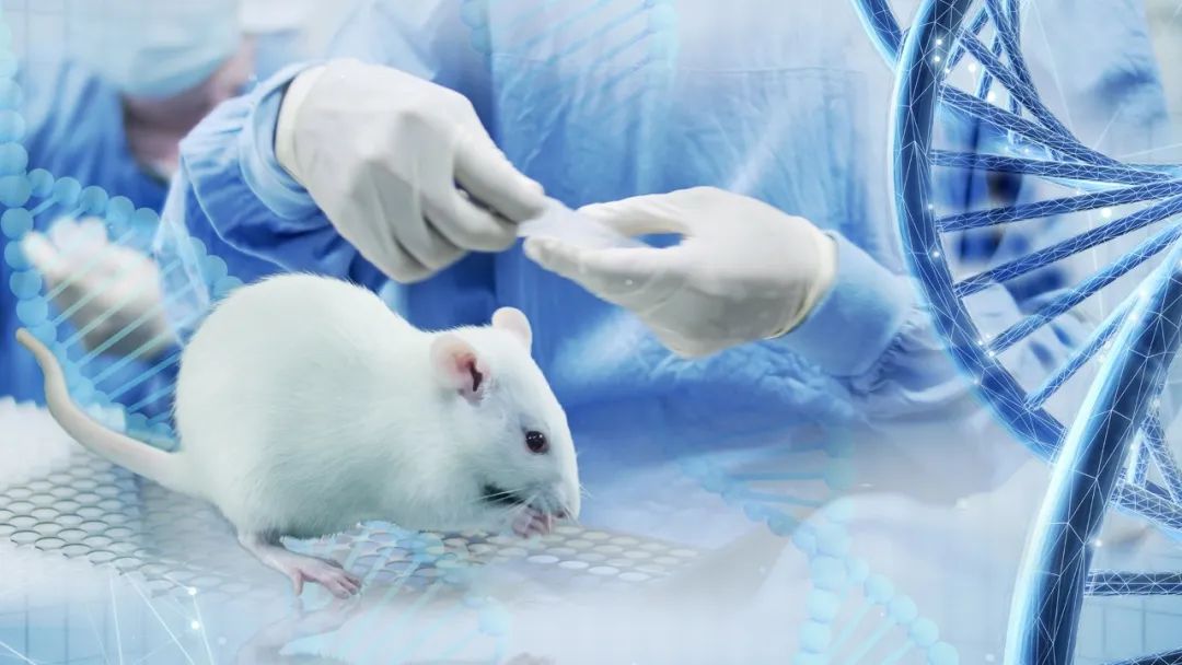 赛业生物宣传片